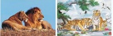 狮子老虎 PET高清3D画 动物三维立体画批发 装饰画 25*35 两变
