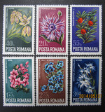 罗马尼亚邮票1974年花卉6全 全品