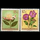 非洲邮票 比属刚果1952年花卉 2枚