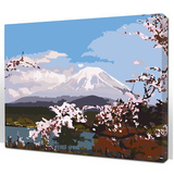 diy数字油画 手绘风景人物花卉抽象客厅卧室餐厅手绘装饰画带外框