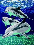 数字油画diy包邮 手绘卡通动物数码油画自助填色画 30*40cm小海豚