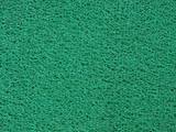 正品3A厚料－PVC塑胶地毯/胶丝地毯 迎宾地毯 绿地毯 卷材2.5公斤
