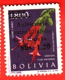 1962年玻利维亚植物花卉喇叭花加盖航空信销最高值1枚.jpg