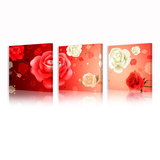 Bihua火红玫瑰卧室唯美三联无框装饰画 高清晰喷绘壁画 包邮特价