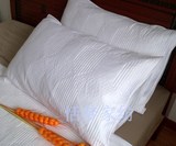 外贸加厚夹棉绗缝枕套  白色丝光纯棉贡缎 50X75CM,50X90CM回字形