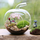 龙猫苔藓微景观玻璃DIY生态瓶植物盆栽情人礼物桌面办公室内摆件