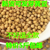 新货黄豆非转基因发豆芽打豆浆东北农家自种有机大豆500g五谷杂粮