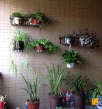 绿都铁艺花架子壁挂墙上墙壁室内阳台多层多肉植物盆栽花盆架特价