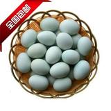 贵州特产原生态乌鸡蛋绿壳鸡蛋山林农家草鸡蛋孕妇鸡蛋20枚包邮