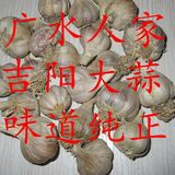 2016土特产湖北特产广水特色农家自种新鲜蒜子蒜坨蒜米大蒜子一斤