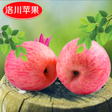 陕西正宗洛川苹果红富士苹果礼盒新鲜水果特产苹果非烟台白水苹果