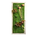 墙面艺术多肉植物仿真花卉绿植壁挂画装饰立体背景墙花园新年礼品