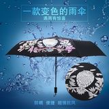 变色斑马猫头鹰秘密的花园晴雨伞折叠黑胶韩国遇水开花遮阳小黑伞