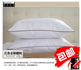 人气单人七孔合格品长方形成人宾馆学生公寓枕芯床上用品批发枕头