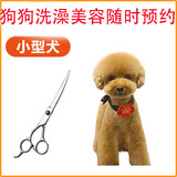 北京宠物小型 中型 大型上门美容服务 设计造型绞毛
