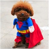 狗狗超人变身装金毛柯基泰迪博美贵宾衣服装派对服饰宠物衣服