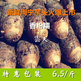 闽东周宁特产正宗新鲜芋头槟榔芋毛芋香芋农家产品蔬菜