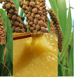 沁州黄小米山西特产小黄米2015新米农家五谷杂粮小米粥月子米5斤