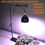 多肉植物补光灯含灯泡可伸缩灯架高反射灯罩/全套植物灯灯罩灯架