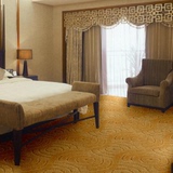 大气纹路卧室客厅地毯宾馆酒店地毯办公室会议室整块的满铺大地毯