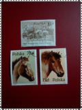 外国 盖销邮票波兰发行战马3枚，集邮