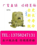 蜗轮蜗杆 减速机 WPA WPS 100-10 15 20 25 30 40 50 60 厂家直销