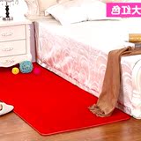 床边毯门垫特价可定做丝毛地毯客厅茶几飘窗卧室床边地毯加厚弹力