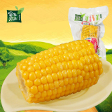 【120g*10袋】昊伟农庄水果玉米非转基因有机甜玉米肯德基口味 包