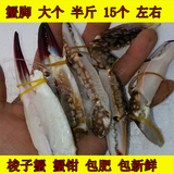 鲜活 野生螃蟹野生梭子蟹蟹脚 蟹钳 蟹腿新鲜海鲜 水产 鲜活 螃蟹