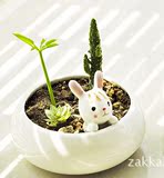 创意ZAKKA 韩式超萌动物陶瓷小兔子多肉花盆