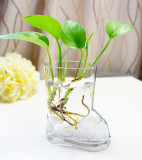 包邮鹅蛋小脚丫圆柱水养花卉花瓶 水培植物玻璃透明室内花瓶花盆