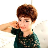 尚刘海蓬松发型整顶假发套韩国假发女短发短卷发自然逼真中老年时