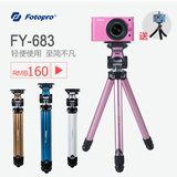 富图宝 FY-683 单反摄影摄像相机三脚架 微单自拍三角架 旅游便携