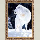 狼挂画 纯手绘高档动物油画 家居客厅玄关装饰画 图腾狼的传说425