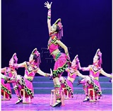 彝族鸡冠帽舞台表演舞蹈演出服女装夏日里的滴滴调少数民族服装