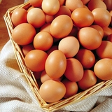 土鸡蛋农家散养 新鲜纯天然笨鸡蛋 自养依沙褐壳30枚包邮 土特产