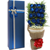 西安蓝色妖姬圣诞节鲜花礼盒蓝玫瑰束生日同城速递杭州上海武汉店