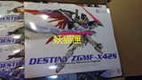 龙桃子 桃子 MG METAL BUILD/MB Destiny Gundam 命运高达