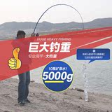 泰戈钓鱼竿 海竿抛竿两用远投竿3.6米进口碳素海钓竿垂钓渔具套装