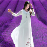 中国风复古白色雪纺宽松棉麻连衣裙中长款中袖长裙文艺学生沙滩裙