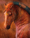 【DMC十字绣套件】HAE-Mini Masai War Pony 迷你马赛战争小马