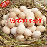 苏北农家正宗散养草鸡土鸡蛋原生态新鲜笨鸡蛋月子红鸡蛋包装包邮