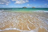 美国夏威夷一日游个人旅游签电话卡自由行租车潜水浮潜门票酒店深