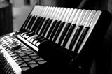 正品 鹦鹉手风琴96 BS 贝司120BS 贝司 三排键37键成人初学乐器