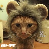 猫狮子头套 猫帽子猫咪假发宠物变装帽小帽子可爱狗搞怪搞笑饰品