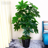 仿真客厅室内绿植假花假树发财树仿真植物大型落地盆栽景塑料装饰