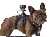 摄相机配件GoPro狗带Hero4 3+ 2狗狗胸带 胸前固定肩带宠物背带