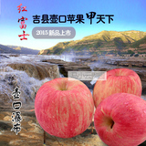 山西吉县壶口红富士苹果包邮2015新鲜水果8斤吉县红富士壶口