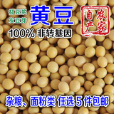 2015农家自产有机黄豆 五谷杂粮非转基因发豆芽豆浆专用黄豆500g
