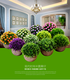 仿真植物盆景塑料花创意绿植摆件假花田园小盆栽客厅装修装饰品